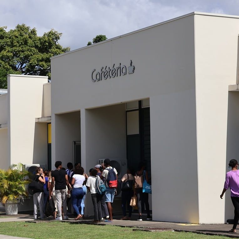 Crous des Antilles et de la Guyane © Lucille Barnouin - 2024